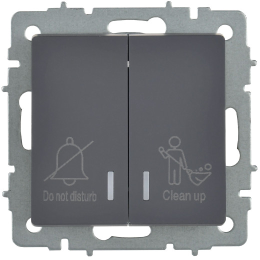 BRITE Выключ. 2-кл. с инд. отел. 10А ВС10-2-9-БрГ граф. IEK