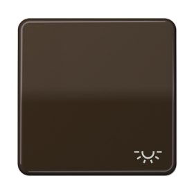 JUNG CD 500/CD plus Коричневая Клавиша 1-ая с символом ОСВЕЩЕНИЕ