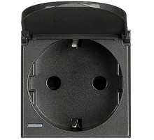 BT Axolute Антрацит Розетка с/з с защит.шторками c крышкой,безвинт зажим,возможность индикации,2 мод.