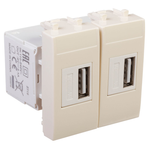 USB зарядное устройство модульное 2.1 А, Avanti, ванильная дымка, 2 модуля
