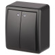 Выключатель ЭРА Эксперт 11-1205-05 двойной с подсветкой IP20 10АХ-250В ОУ антрацит