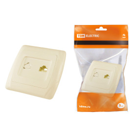 TDM Розетка компьютерная RJ45  сл. кость 