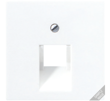 JUNG A 500 Шампань Накладка 1-ой наклонной ТЛФ/комп розетки