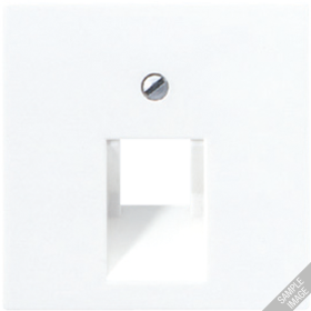 JUNG A 500 Шампань Накладка 1-ой наклонной ТЛФ/комп розетки