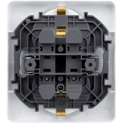 Розетка двойная с заземлением - Legrand/Daccord Inspiria - без шторок в сборе 16А 250В винтовые зажимы - белый