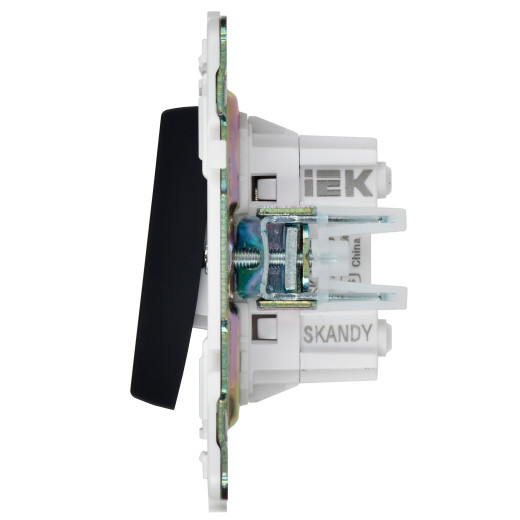 SKANDY Выключ. 2-кл. перекр. 10А SK-V06G граф. IEK