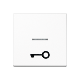 JUNG A 500 Белая Клавиша 1-ая с символом ДВЕРЬ и линзой