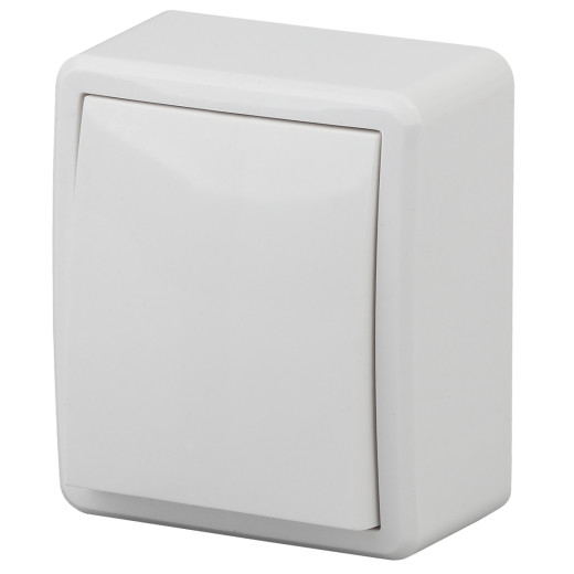 Выключатель ЭРА Эксперт 11-1201-01 10АХ-250В IP20 ОУ белый