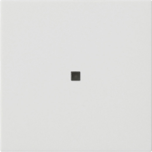 Накладка управления System 3000 BT