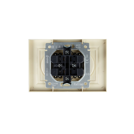 BRITE Роз. 2-я без з/к с з/ш 10А в сб. РСш12-2-БрКр беж. IEK