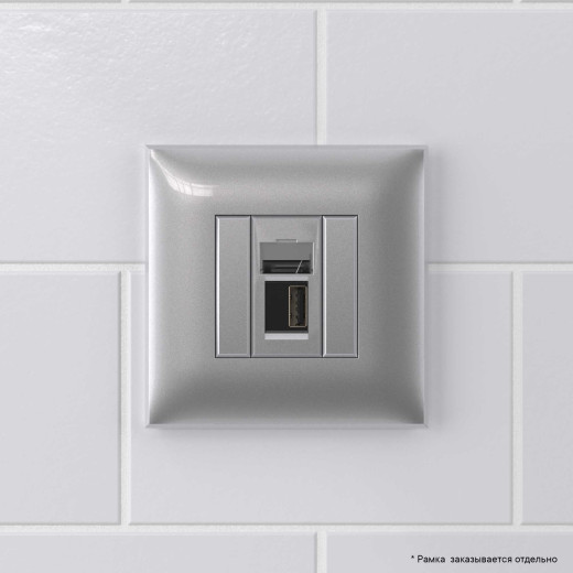 USB 2.0 розетка одинарная в стену, тип А-А, Avanti, закаленная сталь