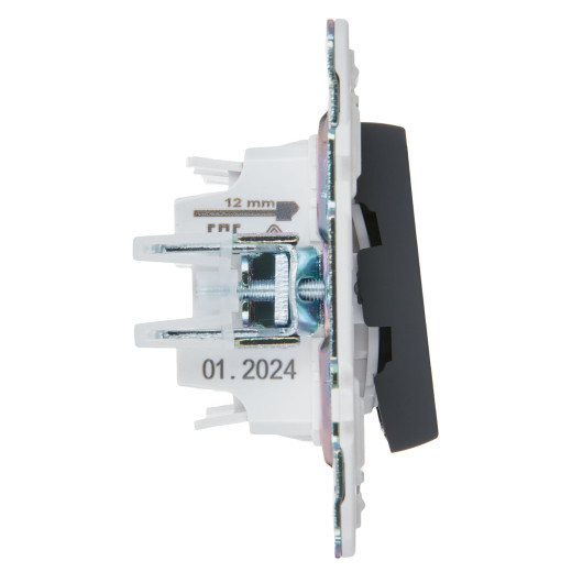 SKANDY Выключ. 2-кл. прох. 10А SK-V05G граф. IEK