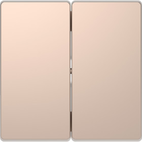 Schneider Electric Merten D-Life Шампань Клавиша 2-ая