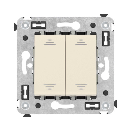 Инвертор двухклавишный в стену, Avanti, ванильная дымка