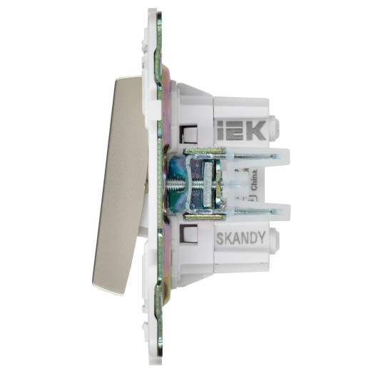 SKANDY Выключ. 2-кл. перекр. 10А SK-V06Sh шамп. IEK