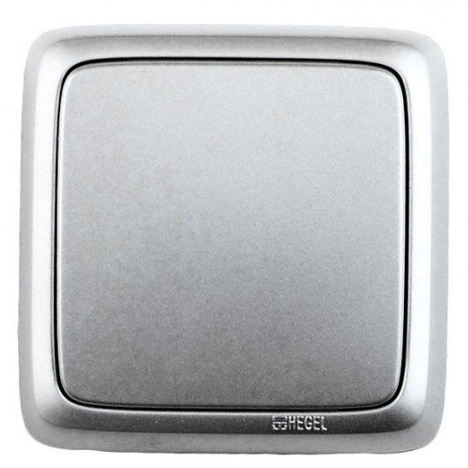 ВА16-163-06 Переключатель открытой установки, одноклавишный, с изолирующей пластиной, цвет серебро