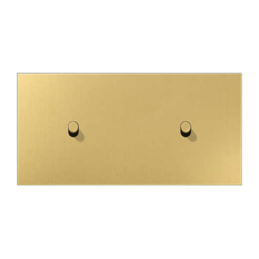 Центральная плата, 2 поста, для горизонтальной установки, тумблеры 1+1, цилиндр, металл, латунь classic, LS1912