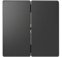Schneider Electric Merten D-Life Антрацит Клавиша 2-ная