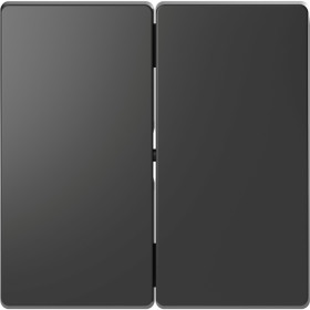 Schneider Electric Merten D-Life Антрацит Клавиша 2-ная