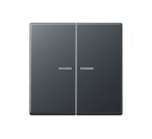 JUNG Матовый антрацит Клавиши для сдвоенных выключателей; термопласт; с окошком