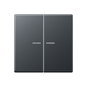 JUNG Матовый антрацит Клавиши для сдвоенных выключателей; термопласт; с окошком