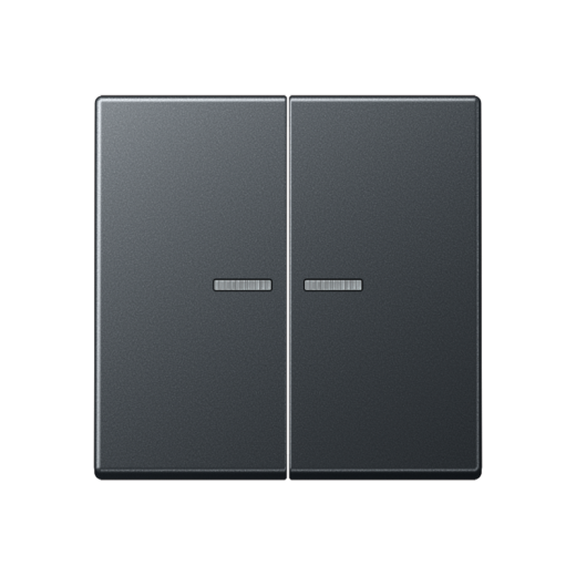 Двойная клавиша с окошками для балансирных механизмов выключателей (кнопок), в комплекте с AS90-5HP (крепежный элемент), возможно IP44, термопласт, матовый антрацит, A500