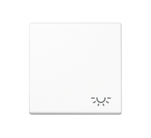 JUNG A 500 Белая Клавиша 1-ая с символом ОСВЕЩЕНИЕ