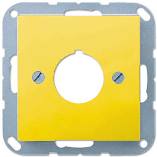 Крышка для установки специальных изделий