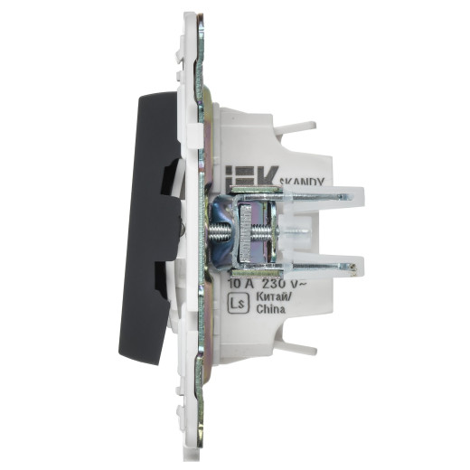 SKANDY Выключ. 2-кл. с инд. отел. 10А SK-V16G граф. IEK