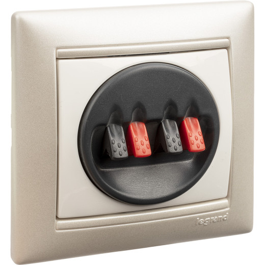 Розетка для акустической системы двойная - Legrand Valena - белый