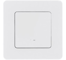 Legrand/Daccord INSPIRIA Белый Выключатель одноклавишный с подсветкой/индикацией 10 AX - 250 В.