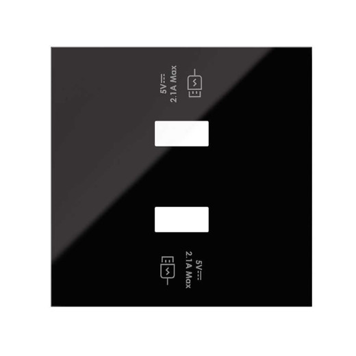 Simon 100 Черный глянец Накладка для 2-х зарядных устройств USB SmartCharge