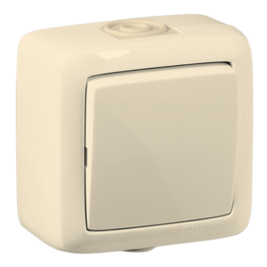 ВА16-211-01 Выключатель открытой установки, одноклавишный, брызгозащищенный, цвет слоновая кость