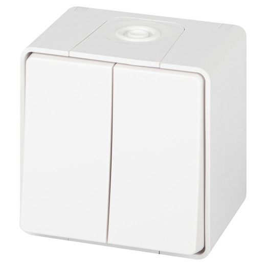 Переключатель ЭРА Эксперт 11-1506-01 двойной IP55 10АХ-250В ОУ белый