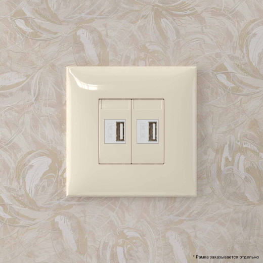 USB зарядное устройство в стену 2.1 А, Avanti, ванильная дымка
