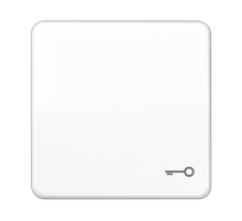 JUNG CD Белая Клавиша 1-ая с символом КЛЮЧ ударопрочная ударопрочная