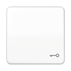 JUNG CD Белая Клавиша 1-ая с символом КЛЮЧ ударопрочная ударопрочная