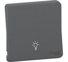 Schneider Electric Mureva Styl Антрацит Клавиша с символом «свет», IP55
