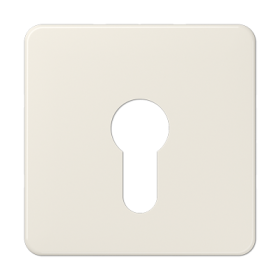 JUNG Крышка для замочного выключателя, плоский