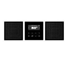 JUNG Смарт радио DAB+, стерео черный