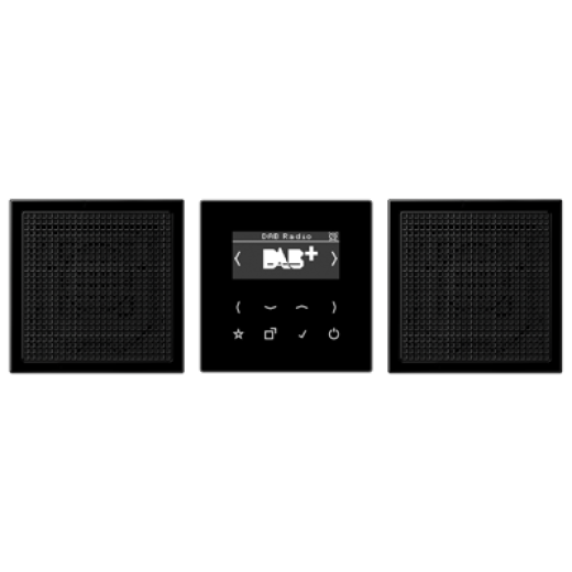 Смарт радио DAB+, стерео, черный