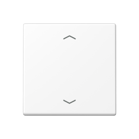 JUNG A Flow/A 550 Белый матовый Центральная плата стандарт с символами «стрелки»