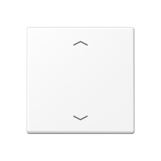 Центральная плата стандарт с символами «стрелки», термопласт, белый матовый