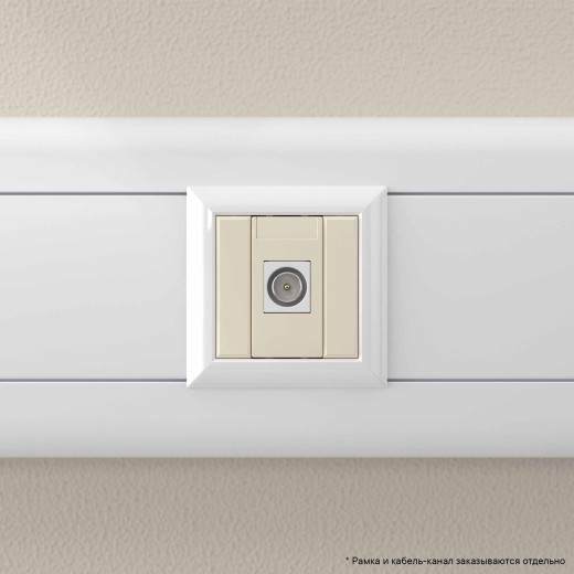 Розетка TV одиночная модульная, Avanti, ванильная дымка, 1 модуль
