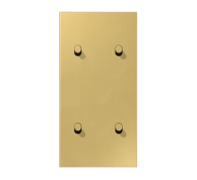 JUNG LS1912 Латунь классик Центральная плата, 2 поста, для вертикальной установки, тумблеры 2+2,цилиндр; метал. исполнение