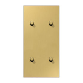 JUNG LS1912 Латунь классик Центральная плата, 2 поста, для вертикальной установки, тумблеры 2+2,цилиндр; метал. исполнение