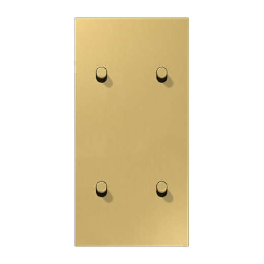 Центральная плата, 2 поста, для вертикальной установки, тумблеры 2+2, цилиндр, металл, латунь classic, LS1912