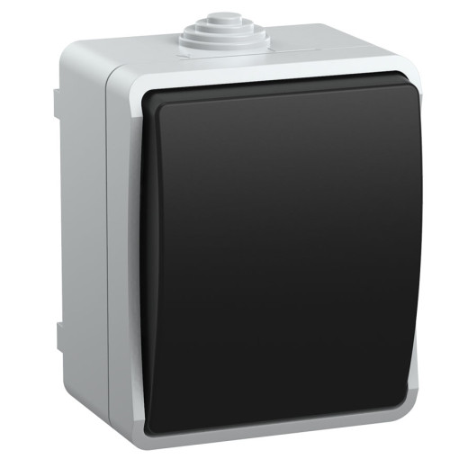 FORS Выкл. 1-кл. прох. о/у IP54 ВС20-1-0-ФСр сер. IEK