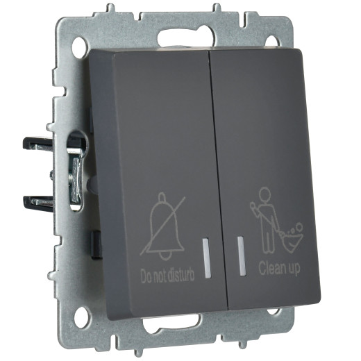 BRITE Выключ. 2-кл. с инд. отел. 10А ВС10-2-9-БрГ граф. IEK