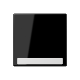 JUNG Клавиша с полем для надписи, чёрный